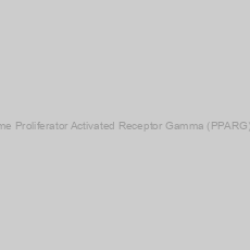 Image of Peroxisome Proliferator Activated Receptor Gamma (PPARG) Antibody